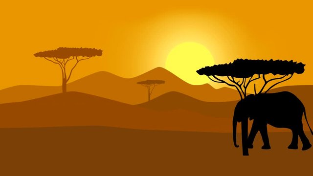Silhouette of the black elephant in savanna, animation