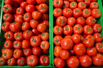 boxes with red juicy tomatoes on the counter in the store of organic farmers products