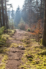 Black Forest, Germany