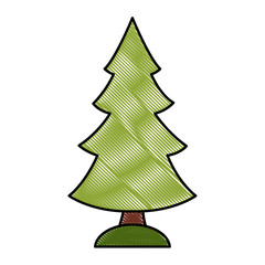 Fototapeta premium Tree pine isolated icon vector illustration graphic design