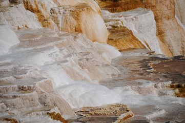 Hot spring water of Yellowstone