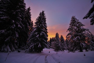 Haute combe du Jura au couché de soleil