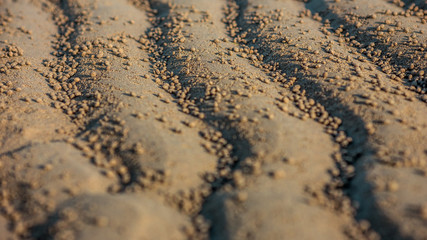 Close-up of the yellow sand at the Persian Gulf