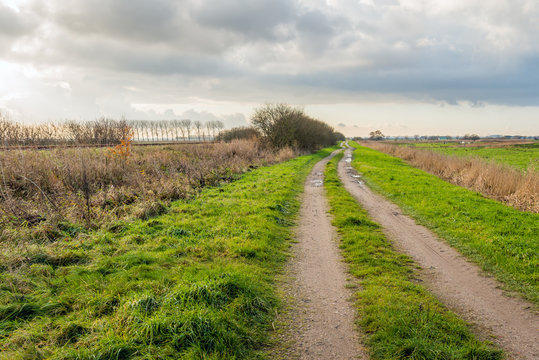 Sandy path with puddles in a rural landscape