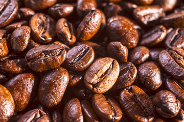 Coffee Beans Close-up