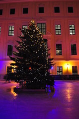 Winterliche Eisbahn mit Tannenbaum in der Dresdner Altstadt