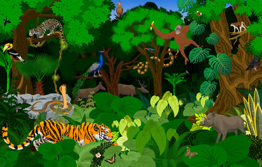 vector Thailand jungle rainforest illustration with animals © Save Jungle