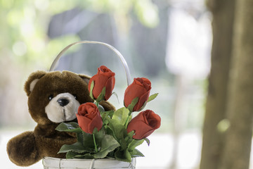 Red roses bouquet and brown bear In white basket with morning sun.