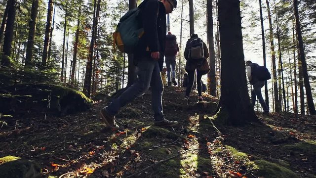 Group of people walking through forest