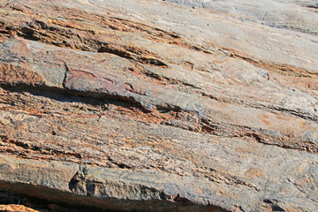 Glacial scratches in bedrock, Pelham Bay Park, NYC
