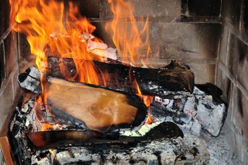 Leña ardiendo en el hogar