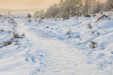 Winter scene with snow on the Dutch Posbank