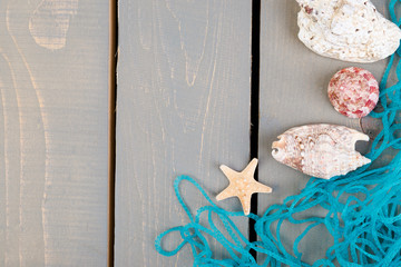 Seashells with blue net on grey wooden background. Flat lay.