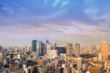 Fototapeta na wymiar Landscape of tokyo city skyline in Aerial view with skyscraper, modern office building and sunset sky background in Tokyo metropolis, Japan.