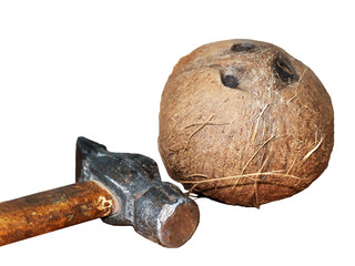 A coconut lies broken open with the hammer nearby.