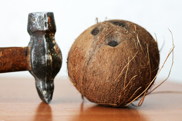 A coconut lies broken open with the hammer nearby.