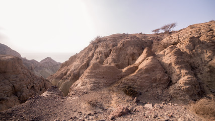 Desert mountains near the sea with little trees on the top