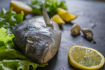 Raw dorado fish with lemon on grey marble table