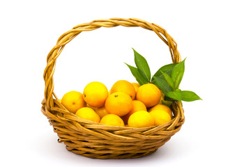 tangerines in a basket on white background