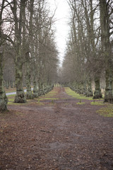 Images taken at Clumber Park Nottinghamshire England