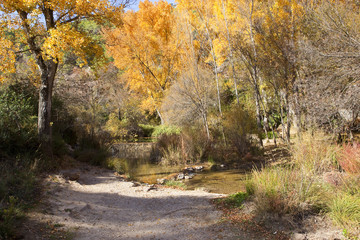 colorful andalucian woodland