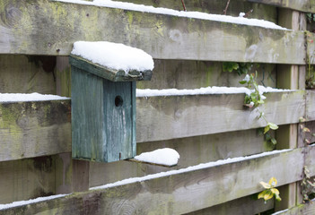 Birdhouse covert in snow