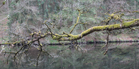 wandern, Buchberger Leite Freyung-Ringelai,  Bayrischer Wald