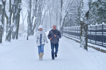 senior couple at winter outdoors