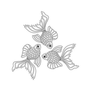 Vector hand drawn goldfishes floating in a circle. Line art design goldfish