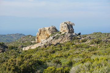 Fototapeta na wymiar Wild landscape with natural rock formation in Cap de Creus natural park, Spain, Costa Brava, Catalonia, Girona, Mediterranean