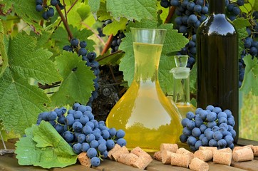 Homemade white and red wine from grapes. Decanters, bottles, corks and grapes photographed against...