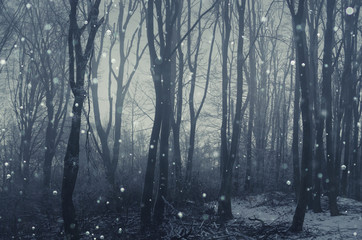 snow falling in fantasy winter forest