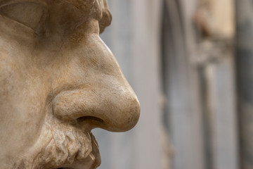 Close-up nose of statue.