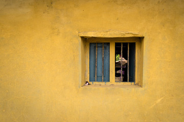 Window with a someone inside