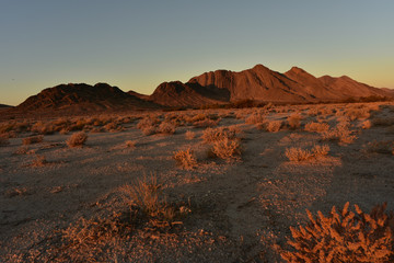 Mojave desert dawn landscape Pahrump, Nevada