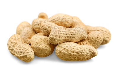 nuts and dried fruits collection