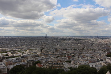 Fototapeta na wymiar Aerial panoramic view of Paris skyline with Eiffel Tower. Beautiful view of Paris from above.
