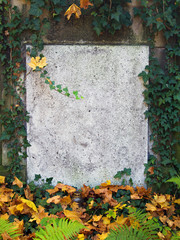 old stone plaque background surrounded by plants with copy space