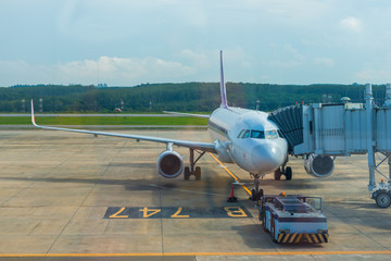The passenger airliner arranges passengers through the sleeve at the airport