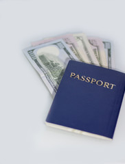 Dollars in blue passport on white background