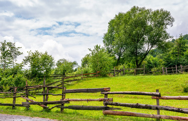 Fototapeta na wymiar wooden fence on grassy rural field with tree. lovely springtime scenery 