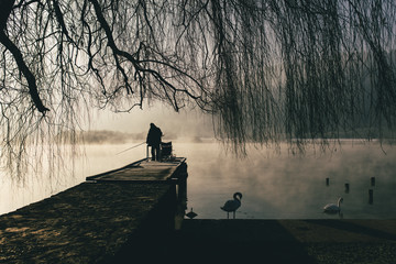 Mysterious lake on an early winter morning photographed in backlight in central Slovenia