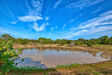 Prachtvolle Landschaft mit Teich und strahlendem Himmel im Nationalpark Yala auf der tropischen...