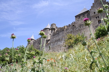 Carcassonne
