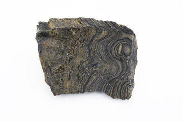 stromatolite mineral isolated over white