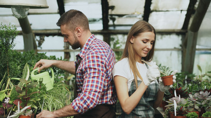 Young cheerful woman in apron and gloves loosen ground in flower and chatting his boyfriend in...