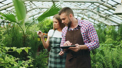 Young couple work in garden center. Attractive man cheking flowers and woman using tablet computer...