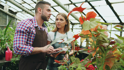Young couple florists work in garden center. Attractive man and woman in apron count flowers using tablet computer during working in greenhouse