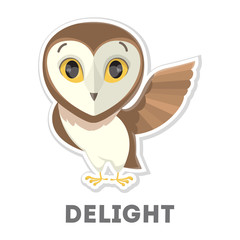 Isolated delighted owl.