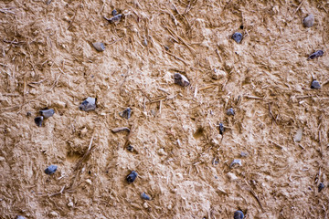 wooden texture and pattern. Rocky and sandy textured used for construction, interior and decoration purposes and textured background and wallpapers.